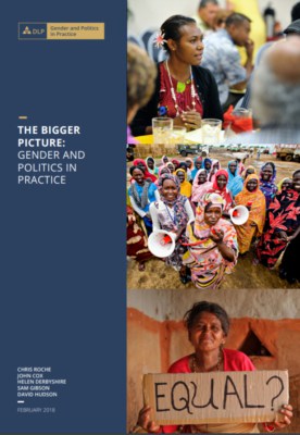 The Bigger Picture: Gender and Politics in Practice