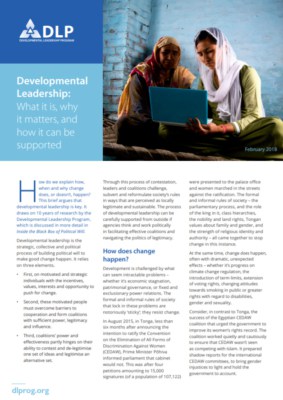 Developmental Leadership: What it is