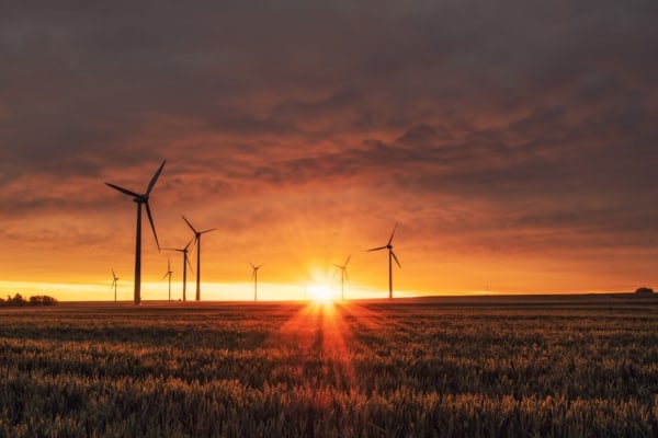 Windmills against a sunset in grass field