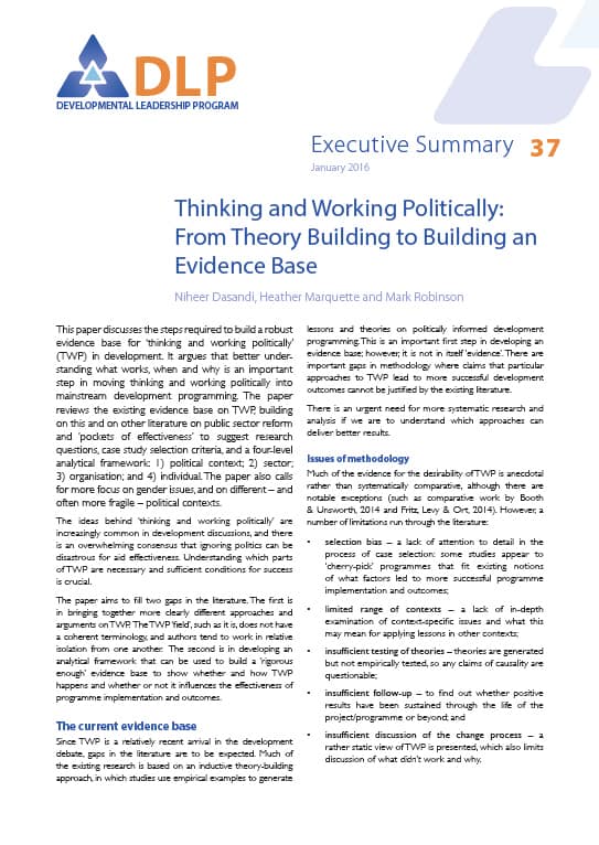 Executive Summary - Thinking And Working Politically: From Theory ...