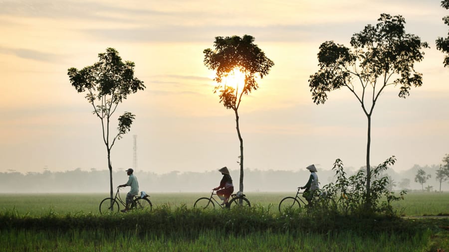 Three people cycling