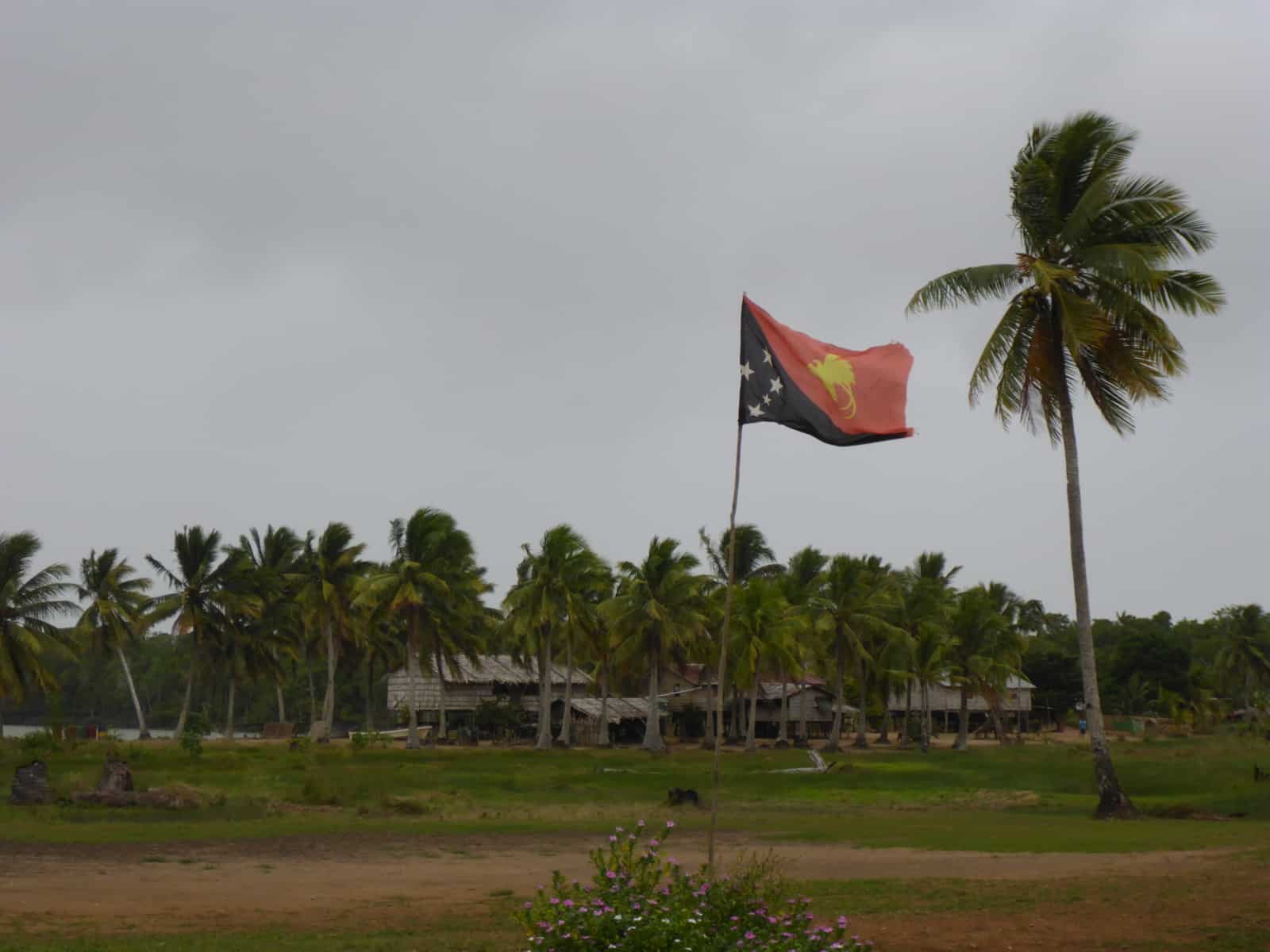 PNG Flag South Fly